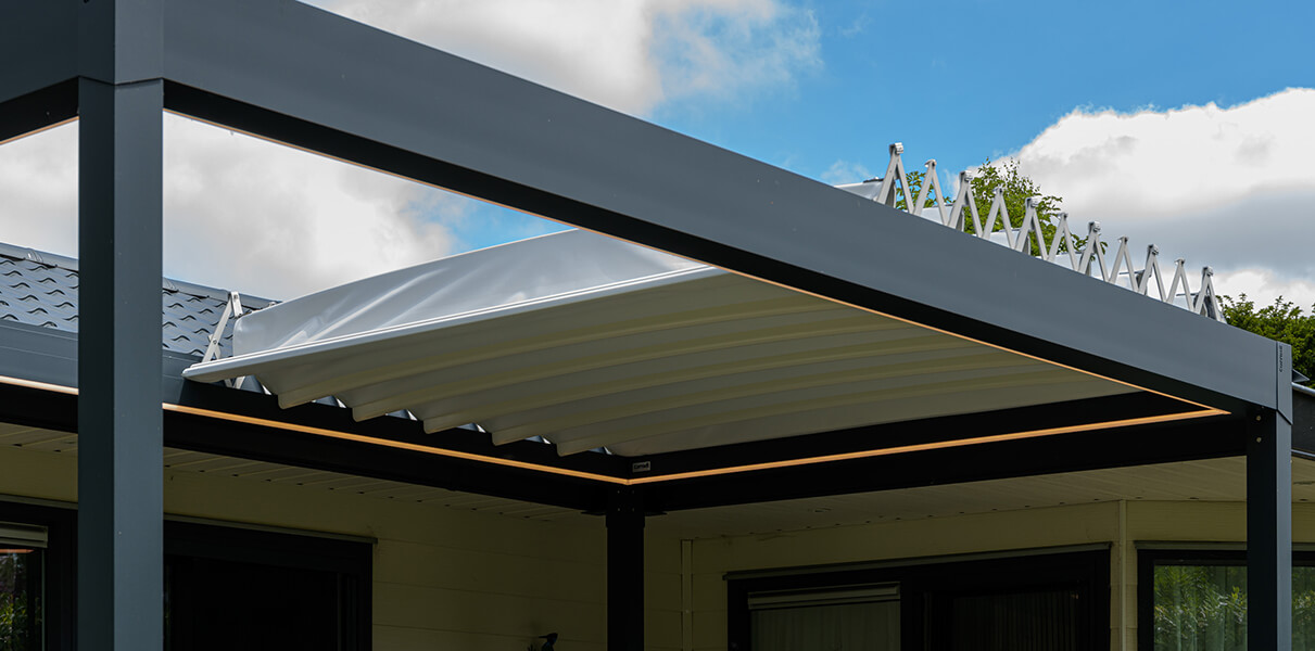 alba-butterfly-specs-canvas-metalura